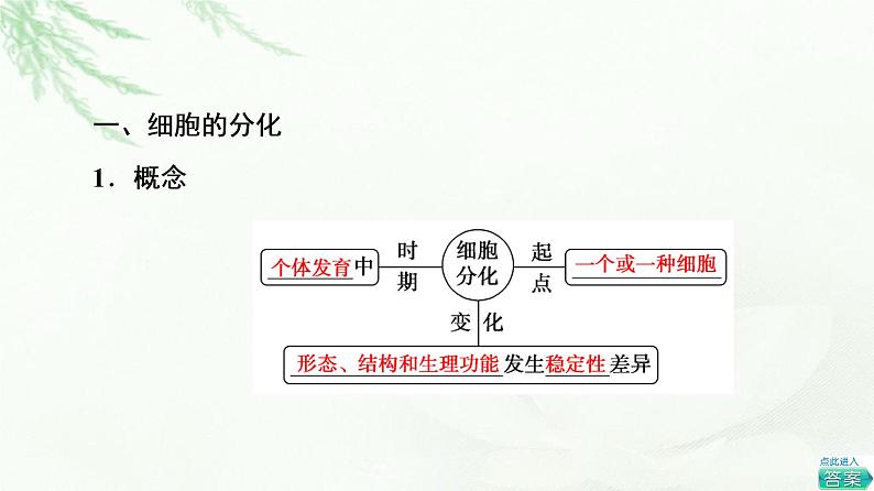 人教版高中生物必修1第6章第2节细胞的分化课件04