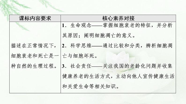 人教版高中生物必修1第6章第3节细胞的衰老和死亡课件02