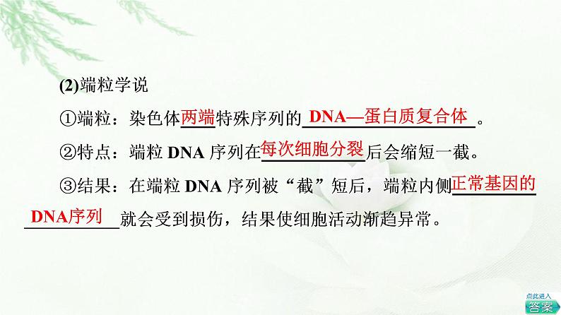 人教版高中生物必修1第6章第3节细胞的衰老和死亡课件06