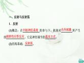 人教版高中生物选择性必修1第2章第2节神经调节的基本方式课件