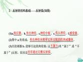人教版高中生物选择性必修1第2章第2节神经调节的基本方式课件