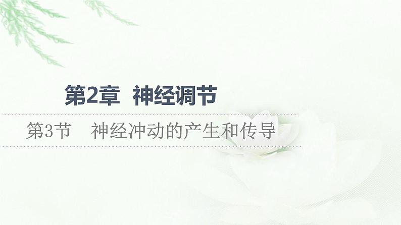 人教版高中生物选择性必修1第2章第3节神经冲动的产生和传导课件第1页