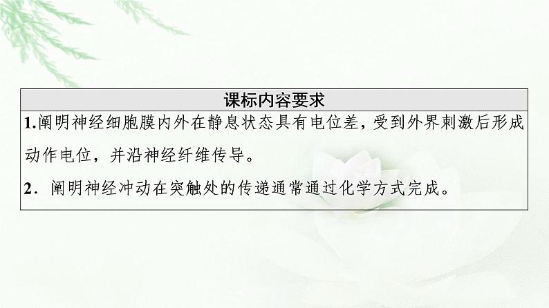 人教版高中生物选择性必修1第2章第3节神经冲动的产生和传导课件第2页