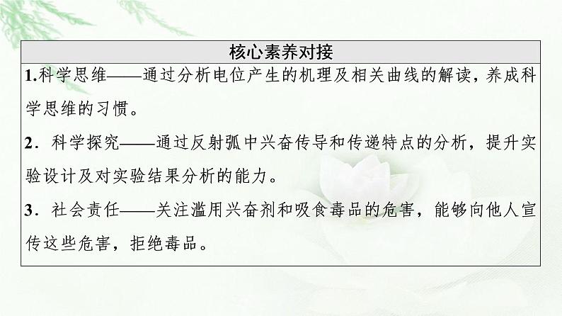 人教版高中生物选择性必修1第2章第3节神经冲动的产生和传导课件第3页