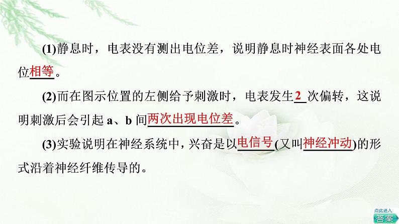 人教版高中生物选择性必修1第2章第3节神经冲动的产生和传导课件第6页