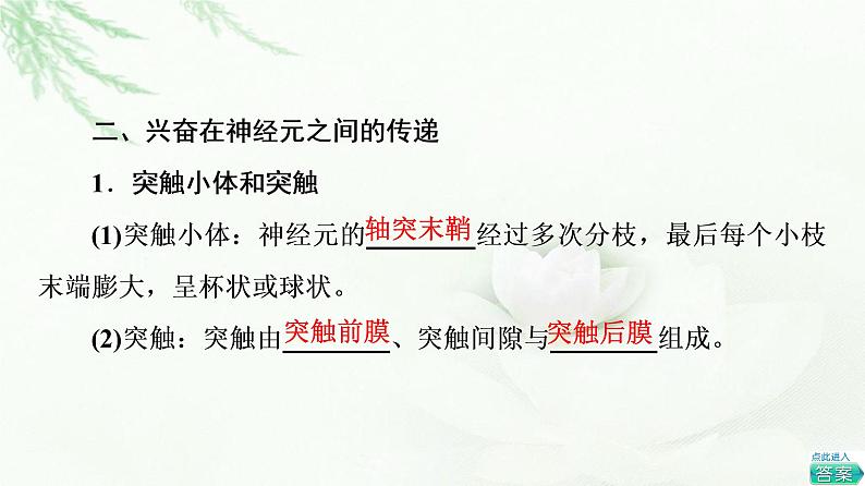 人教版高中生物选择性必修1第2章第3节神经冲动的产生和传导课件第8页