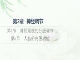 人教版高中生物选择性必修1第2章第4节神经系统的分级调节第5节人脑的高级功能课件