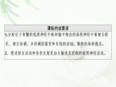 人教版高中生物选择性必修1第2章第4节神经系统的分级调节第5节人脑的高级功能课件