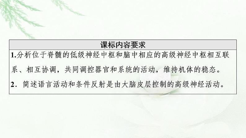 人教版高中生物选择性必修1第2章第4节神经系统的分级调节第5节人脑的高级功能课件第2页