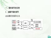 人教版高中生物选择性必修1第3章第2节激素调节的过程课件