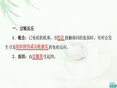 人教版高中生物选择性必修1第4章第3节免疫失调第4节免疫学的应用课件