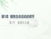 人教版高中生物选择性必修1第5章第1节植物生长素课件