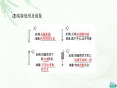 人教版高中生物选择性必修1第5章第1节植物生长素课件