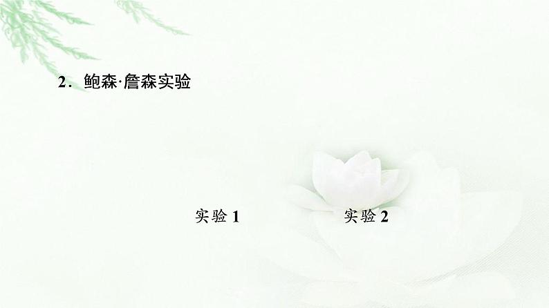 人教版高中生物选择性必修1第5章第1节植物生长素课件第7页