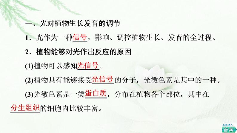 人教版高中生物选择性必修1第5章第4节环境因素参与调节植物的生命活动课件第4页