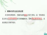 人教版高中生物选择性必修1第5章第4节环境因素参与调节植物的生命活动课件