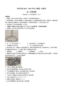 2023河南省中原名校高二上学期第二次联考生物试卷含答案