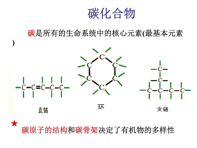 浙科版高中生物必修1第一章第节生物大分子以碳链为骨架 课件02