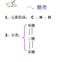 浙科版高中生物必修1第一章第节生物大分子以碳链为骨架 课件