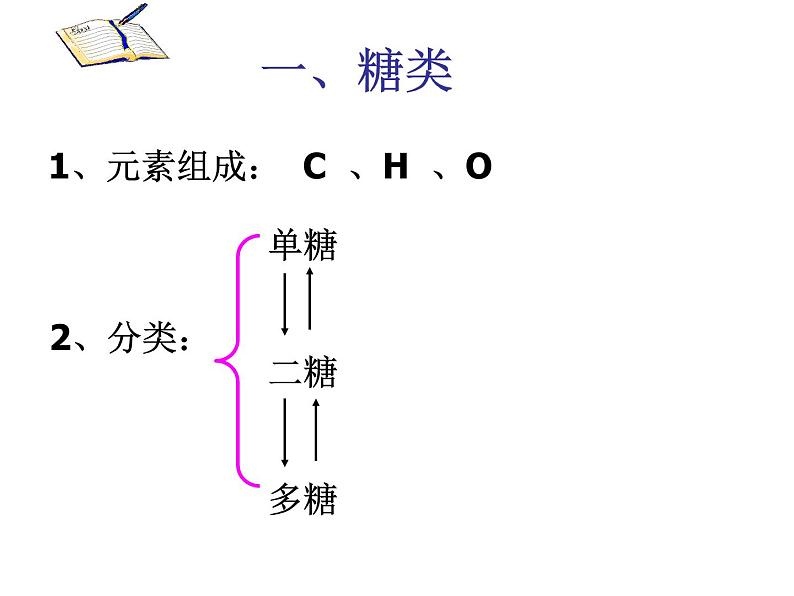 浙科版高中生物必修1第一章第节生物大分子以碳链为骨架 课件03