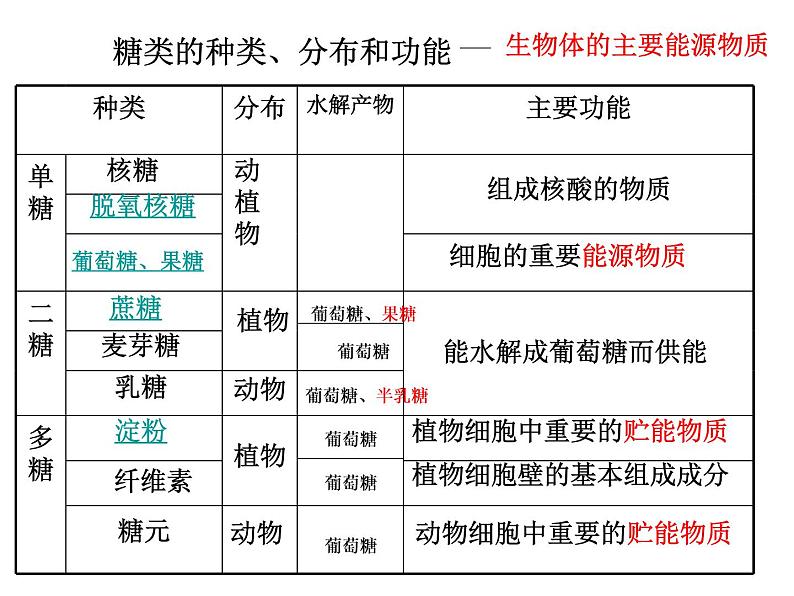 浙科版高中生物必修1第一章第节生物大分子以碳链为骨架 课件04