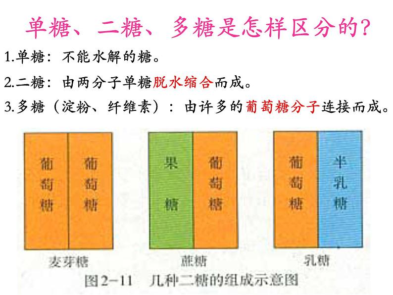 浙科版高中生物必修1第一章第节生物大分子以碳链为骨架 课件05