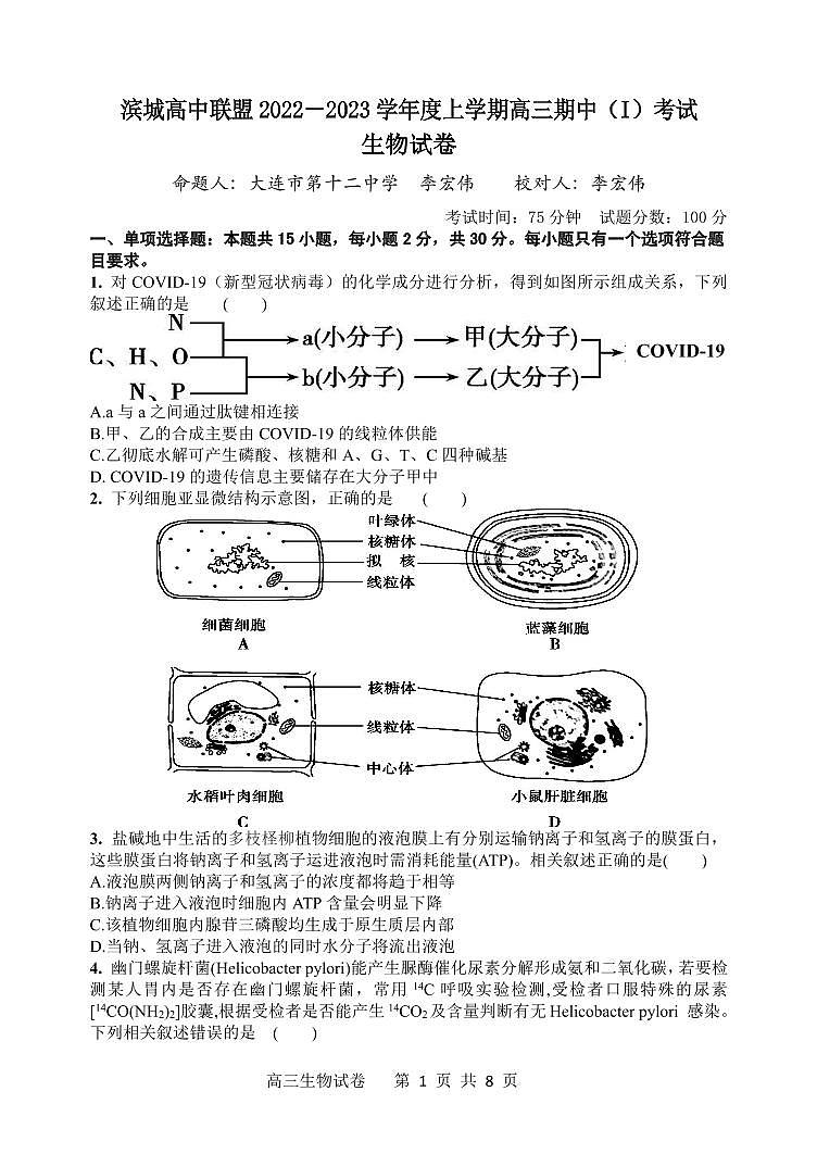 辽宁省大连市滨城联盟2022-2023学年高三上学期期中（Ⅰ）考试生物试题01