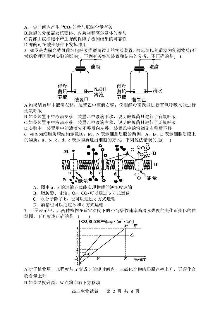辽宁省大连市滨城联盟2022-2023学年高三上学期期中（Ⅰ）考试生物试题02