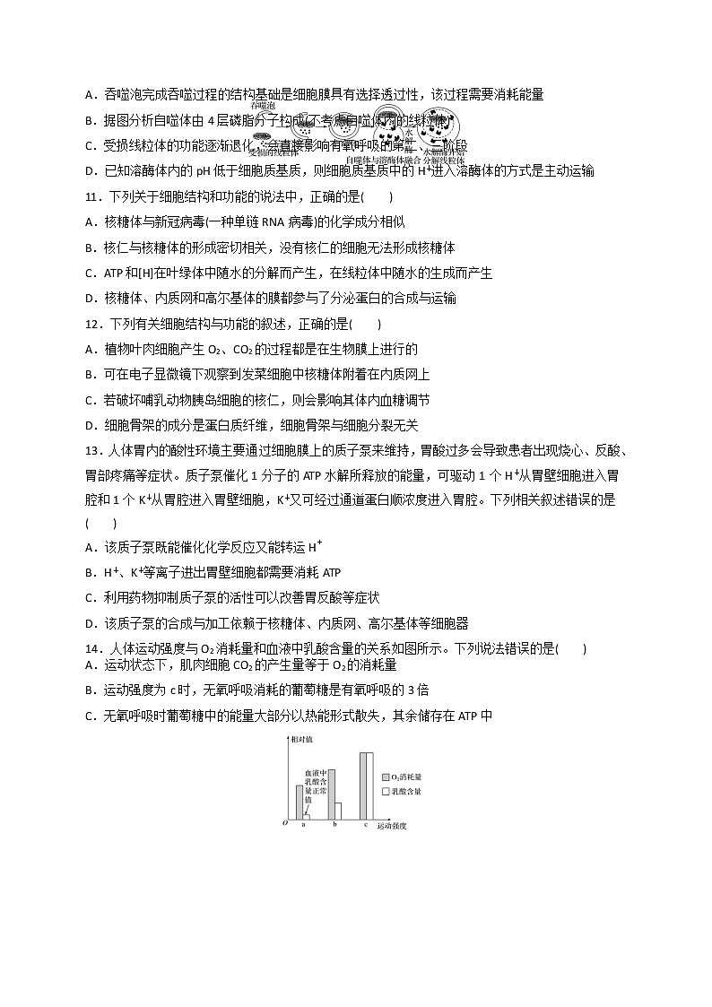 2023乌鲁木齐八中高三上学期第一次月考生物试题含答案第3页
