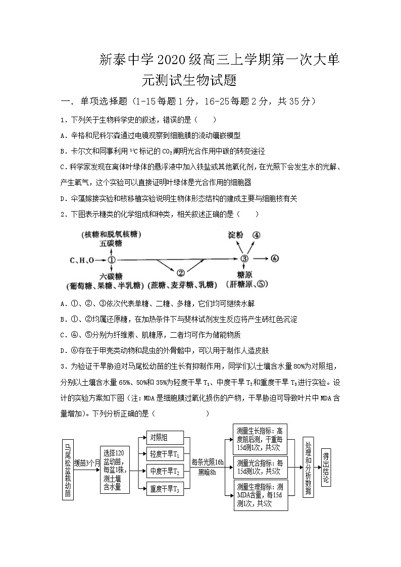 2023泰安泰安一中老校区（新泰中学）高三上学期第一次月考生物试题含答案01