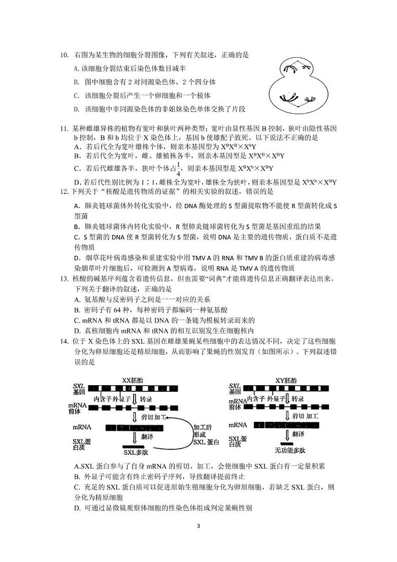 2023沈阳二中高三上学期10月月考生物试题PDF版含答案第3页