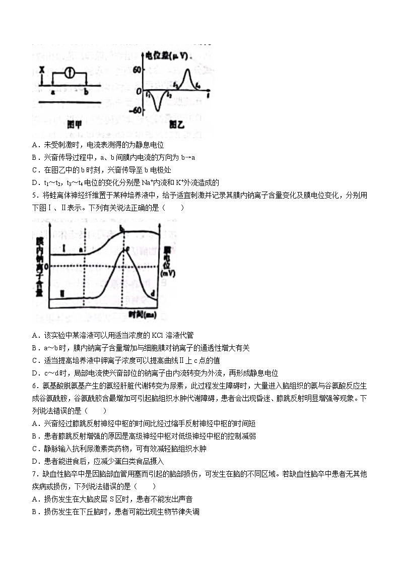 山东省莱州市第一中学2022-2023学年高二上学期第一次月考生物试题含答案第2页