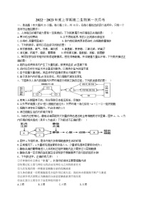 2023通化辉南县六中高二上学期第一次月考生物试卷无答案