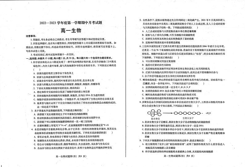 2023烟台招远二中高一上学期10月月考生物试题PDF版含答案01