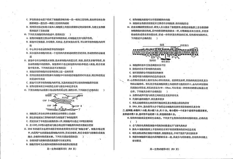 2023烟台招远二中高一上学期10月月考生物试题PDF版含答案02