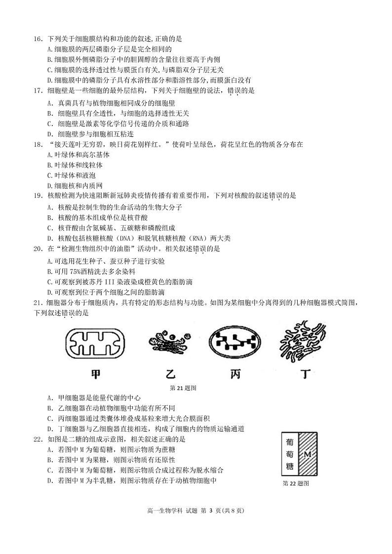 2023丽水绿谷联盟高一上学期10月建模考试生物试题PDF版含答案第3页