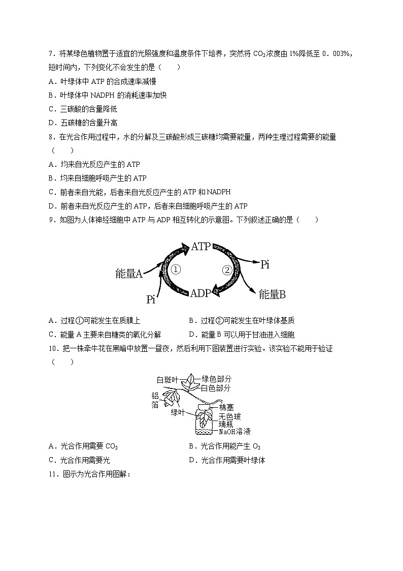 第5章第4节二 光合作用的原理和应用第2页