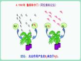 5.4.2 光合作用的原理和应用（课件+练习）-2022-2023学年高一上学期生物人教版（2019）必修1