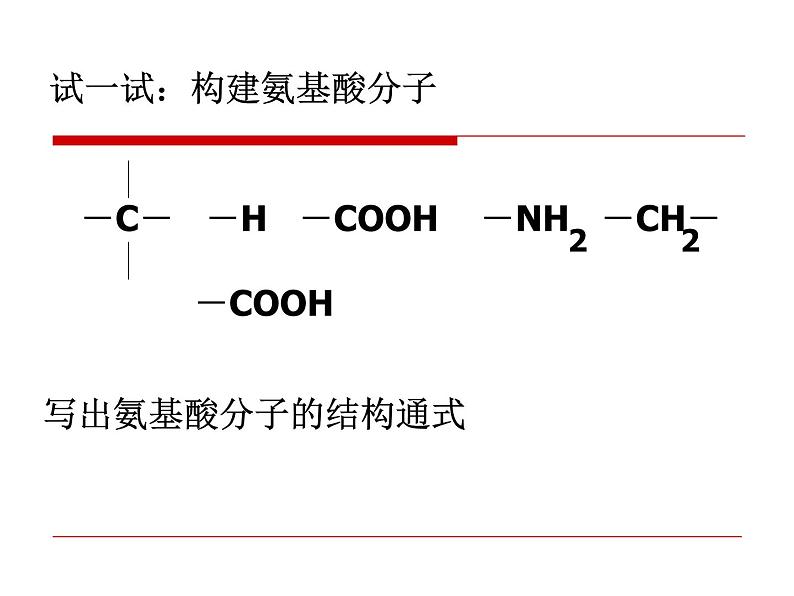 浙科版高中生物必修1第一章第二节 生物大分子以碳链为骨架——蛋白质 课件06