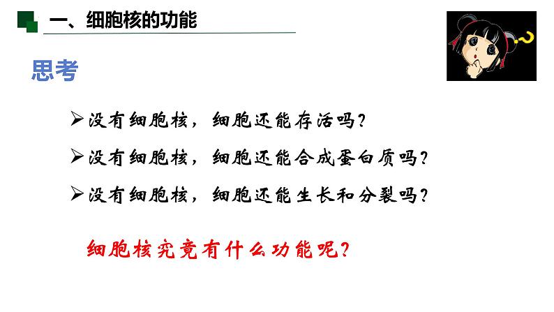 3.3 细胞核的结构和功能-2022-2023学年高一生物同步备课优质课件（人教版2019必修1）第5页