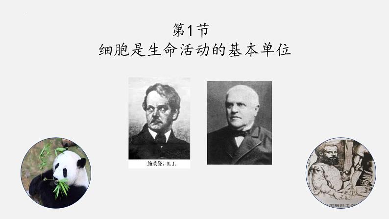 1.1 细胞是生命活动的基本单位课件2022-2023学年高一上学期生物人教版必修1第2页