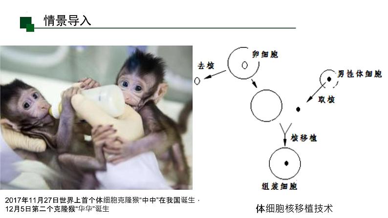 1.1 细胞是生命活动的基本单位课件2022-2023学年高一上学期生物人教版必修1第3页