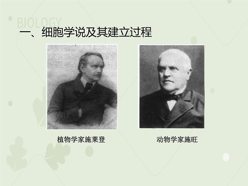 1.1 细胞是生命活动的基本单位  课件 2022——2023学年高一上学期生物人教版必修1第3页