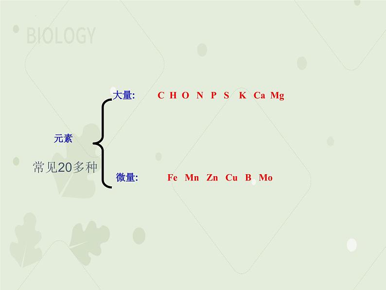 2.1细胞中的元素和化合物课件2022-2023学年高一上学期生物人教版必修104