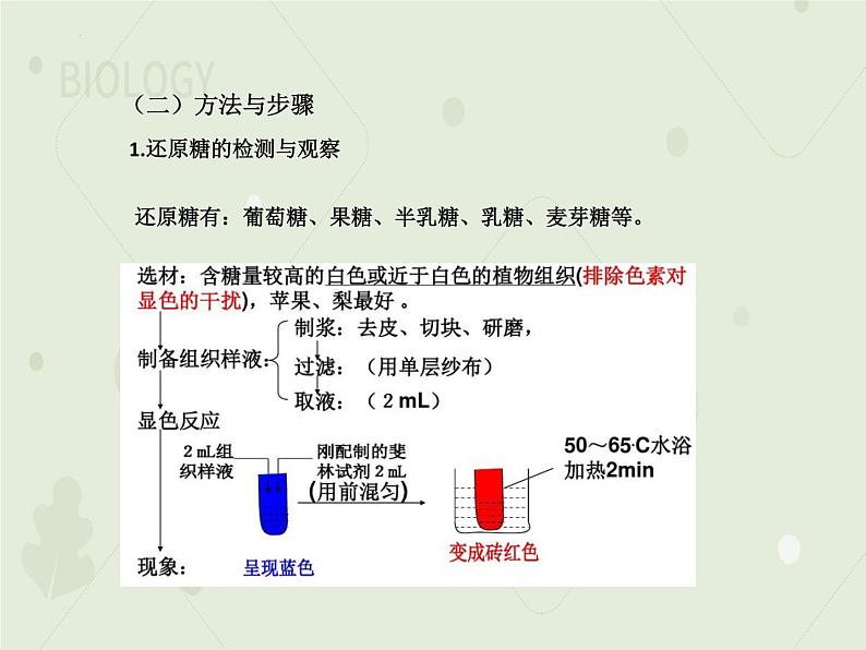 2.1细胞中的元素和化合物课件2022-2023学年高一上学期生物人教版必修108