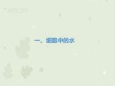 2.2细胞中的无机物课件2022-2023学年高一上学期生物人教版必修1