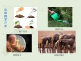 2.2细胞中的无机物课件2022-2023学年高一上学期生物人教版必修1
