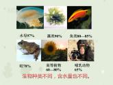 2.2细胞中的无机物课件2022-2023学年高一上学期生物人教版必修1