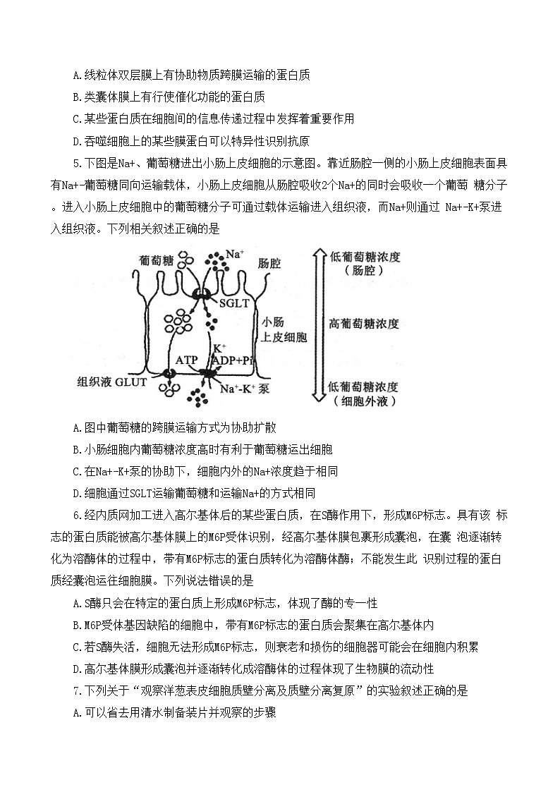 河南省部分名校2022-2023学年高三上学期第一次阶段测试生物试题第2页