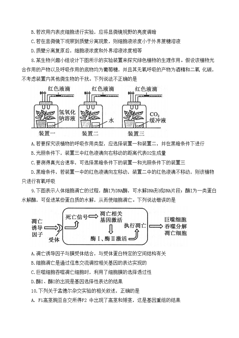河南省部分名校2022-2023学年高三上学期第一次阶段测试生物试题第3页